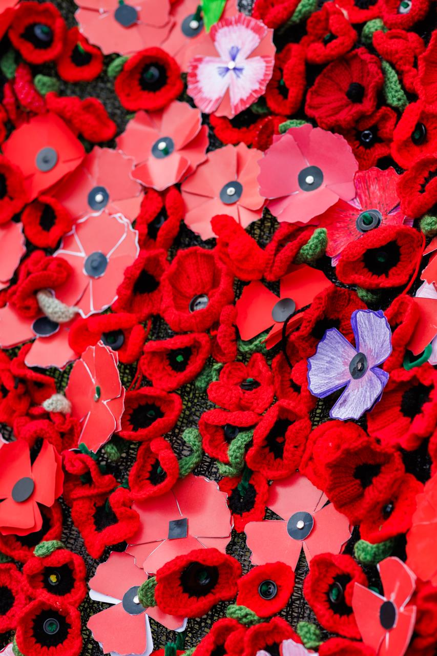 The Poppy Project - Children's Workshop